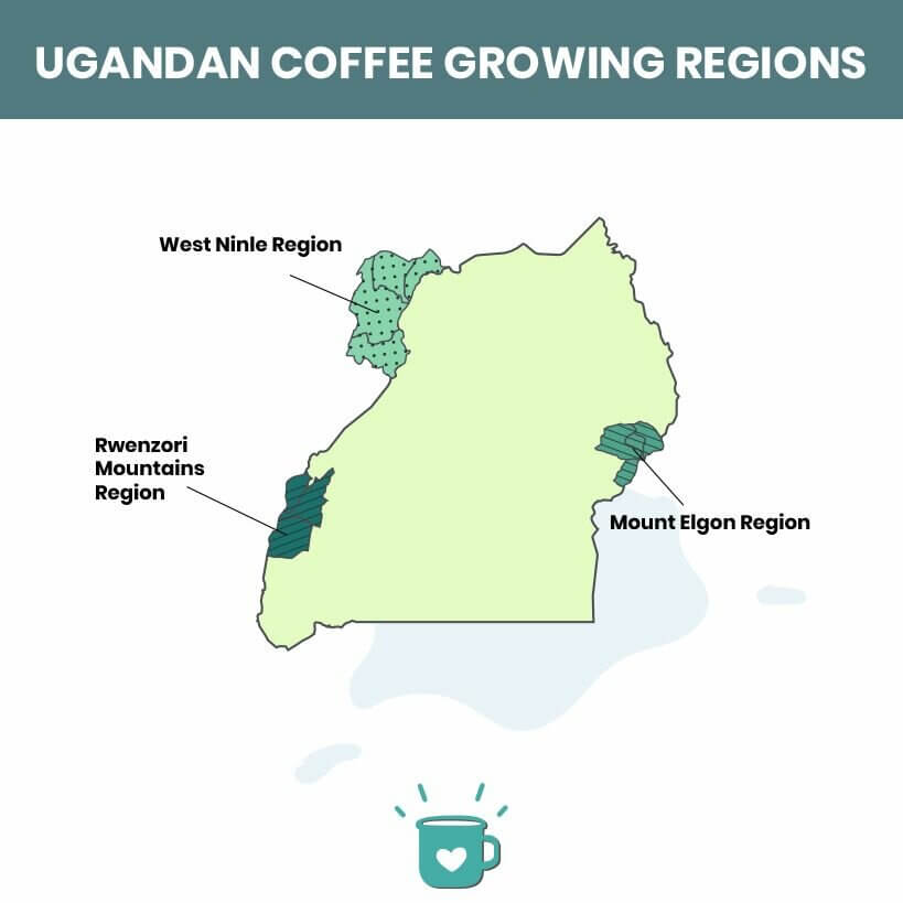 ยูกันดา ประเทศที่ผลิตกาแฟมากที่สุด