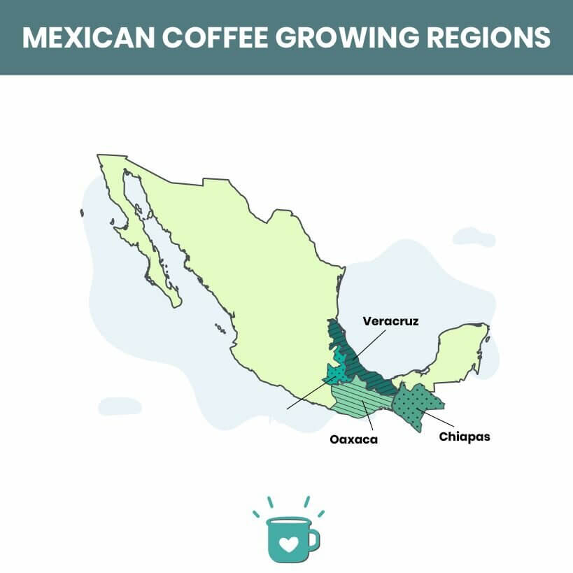 เม็กซิโก ประเทศที่ผลิตกาแฟมากที่สุด