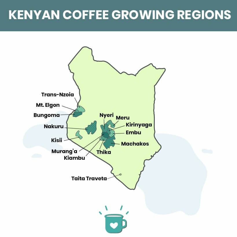 เคนยา ประเทศที่ผลิตกาแฟมากที่สุด