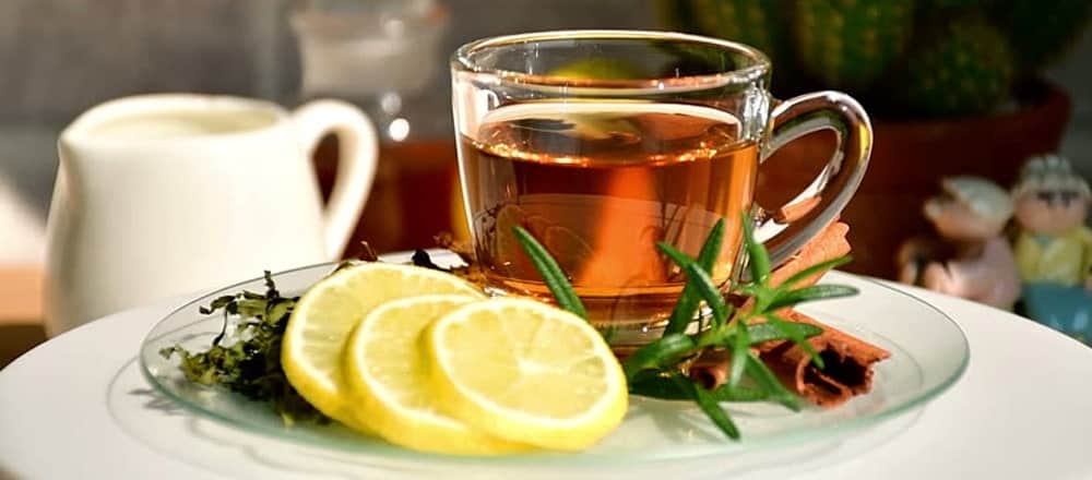 Hemp Tea Benefits ประโยชน์ต่อสุขภาพของชากัญชง