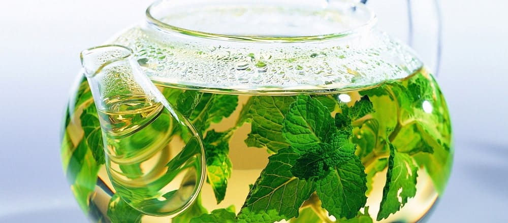 Buy Hemp Tea Online ประโยชน์ต่อสุขภาพของชากัญชง