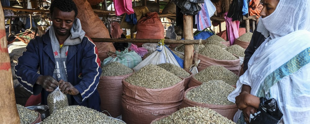 เอธิโอเปียและการผลิตกาแฟ ภูมิอากาศสำหรับกาแฟ