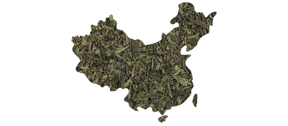 Chinese Green Tea ชาเขียวประเภทต่าง ๆ