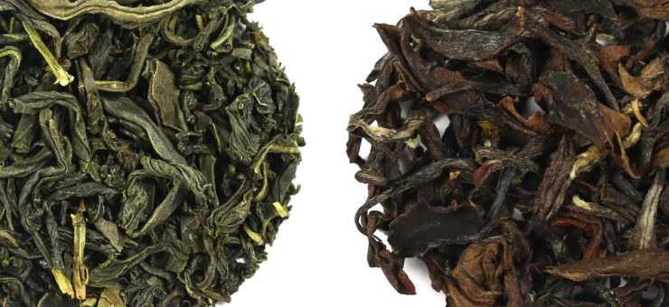 ชาชนิดไหนดีที่สุด  ชาอู่หลง VS ชาเขียว