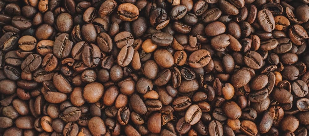 กาแฟอาราบิก้าคืออะไร? กาแฟอาราบิก้าคืออะไร