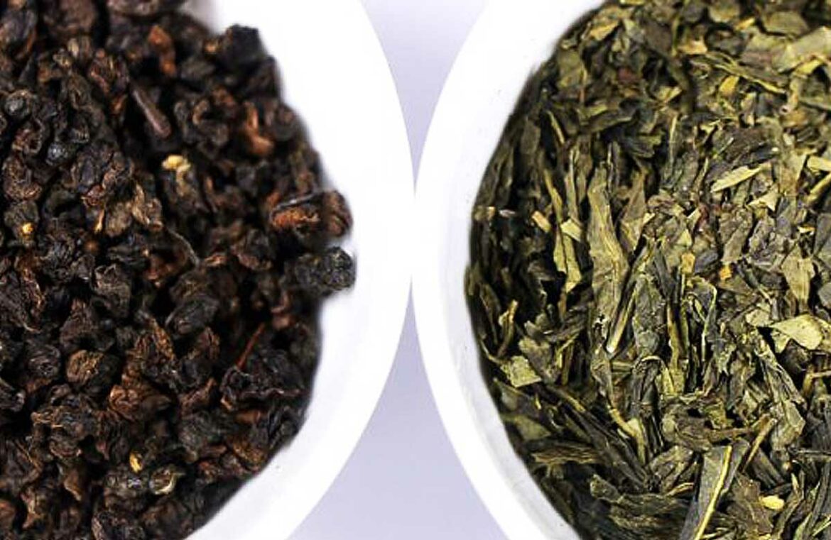 ชาอู่หลง VS ชาเขียว เปรียบเทียบประเภทชา