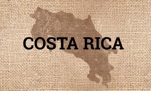 Costa Rican Coffee ภูมิภาคที่ปลูกกาแฟ  