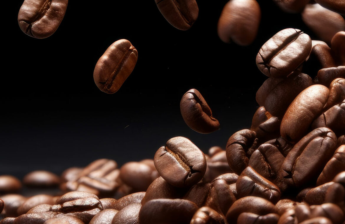 หลักการเลือกเมล็ดกาแฟ วิธีเลือกเมล็ดกาแฟที่ถูกต้อง