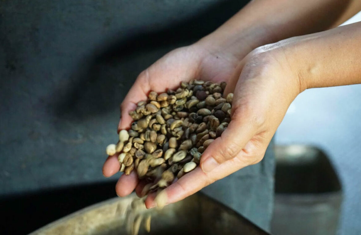 วัฒนธรรมกาแฟของมาเลเซีย มีการพัฒนาอย่างไร